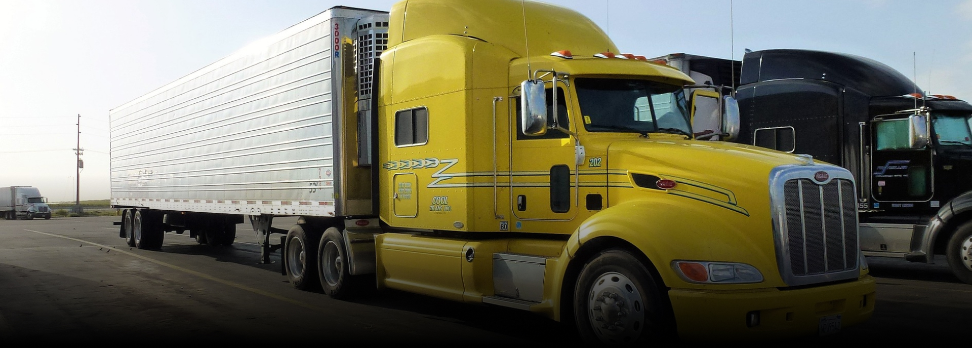 Choosing the optimal type of transport for cargo transportation in the USA