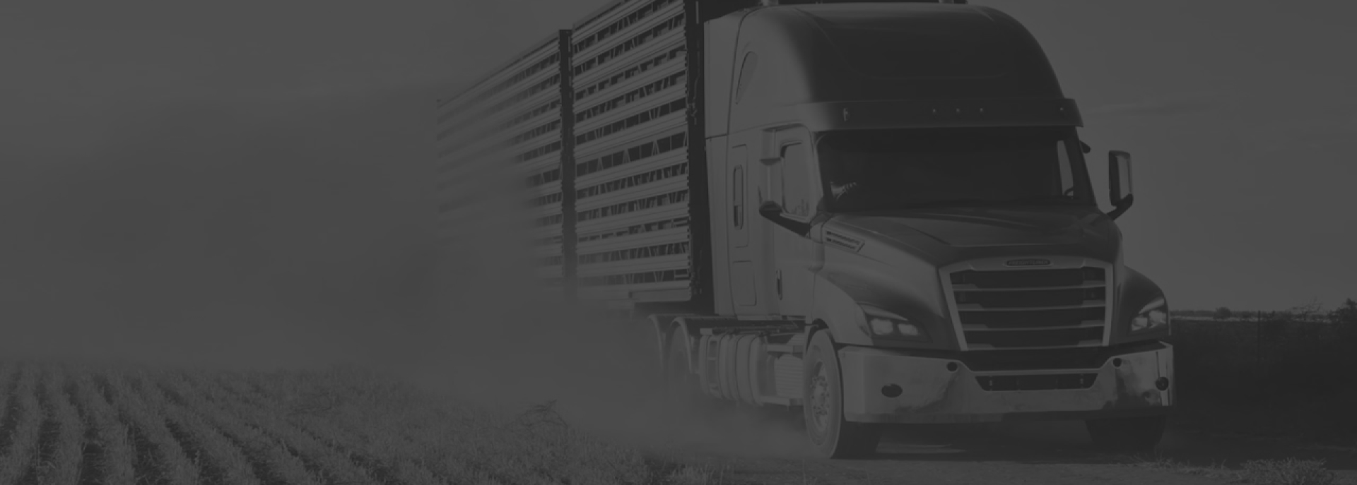 The role of marketing and promotion in the development of the business of road freight carriers
